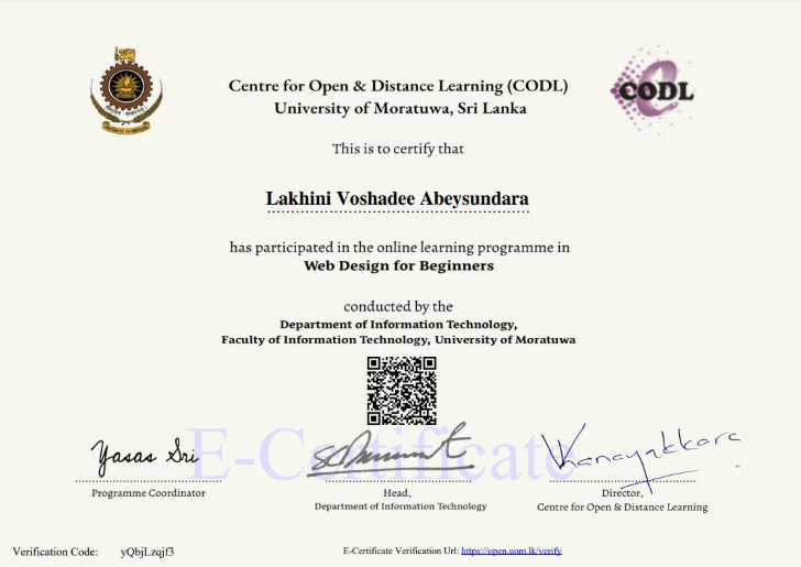 Web Design Certificate